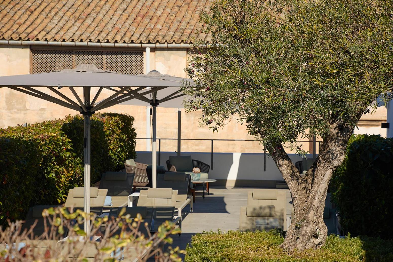 Sant Jaume Design Hotel Palma de Mallorca Exterior photo